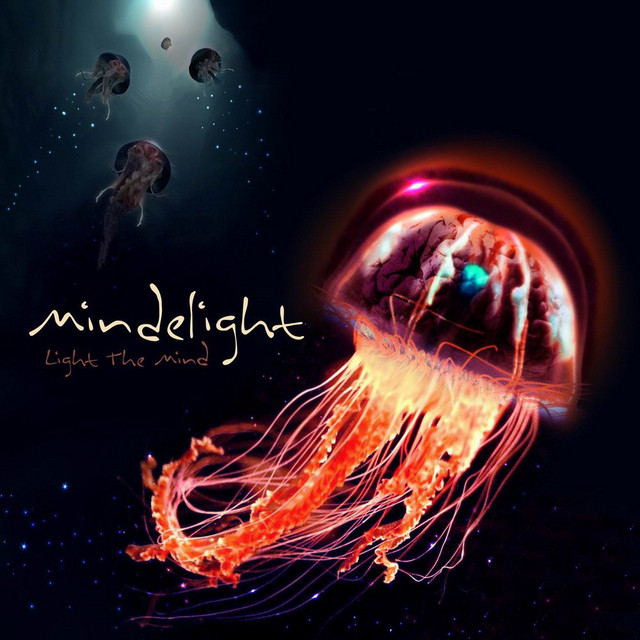 Light The Mind cover