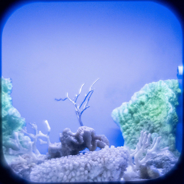 Sea in the Box (Original Soundtrack) cover art