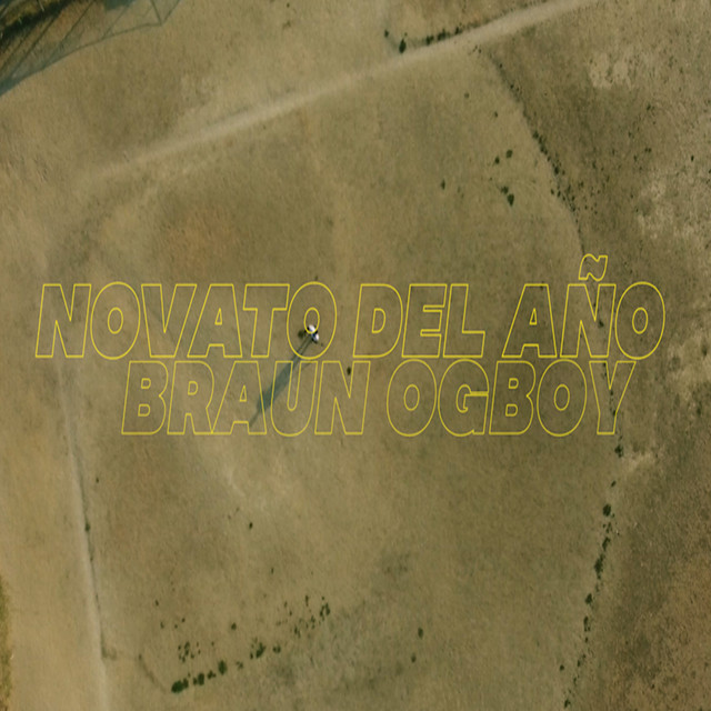 Novato del Año