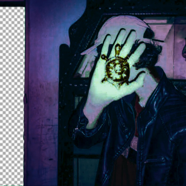 Decoy Em cover art
