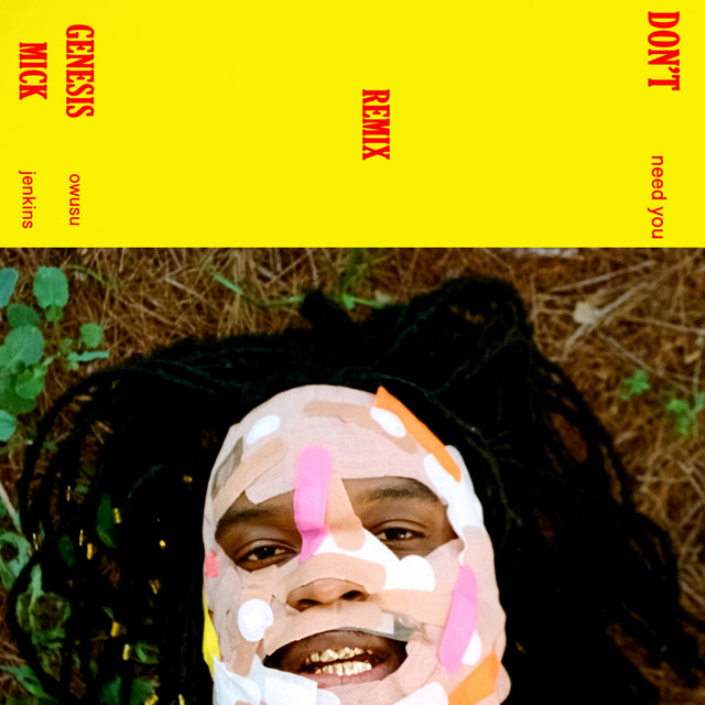 Don't Need You (Remix)