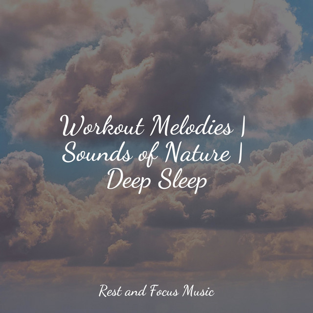 Workout Melodies | Sounds of Nature | Deep Sleep - Album by Musique Zen ...