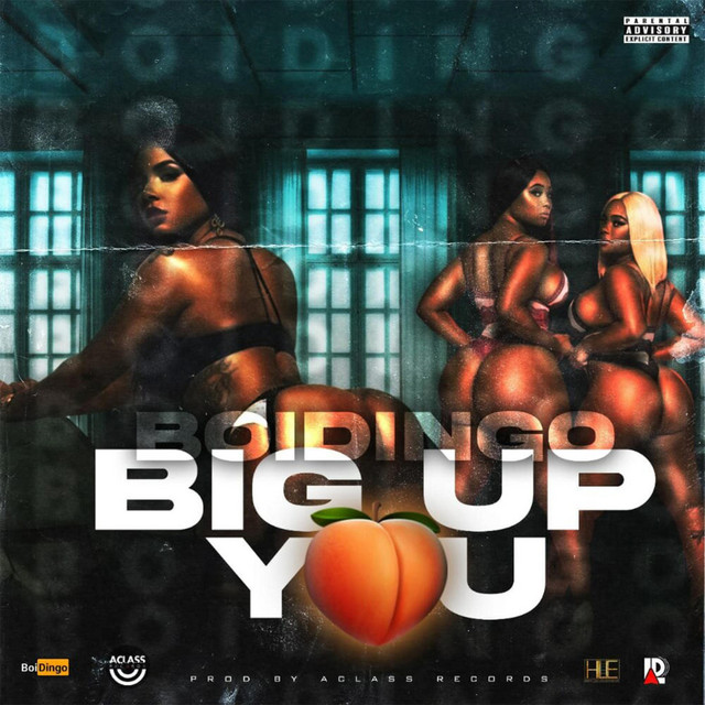 Big Up You cover art