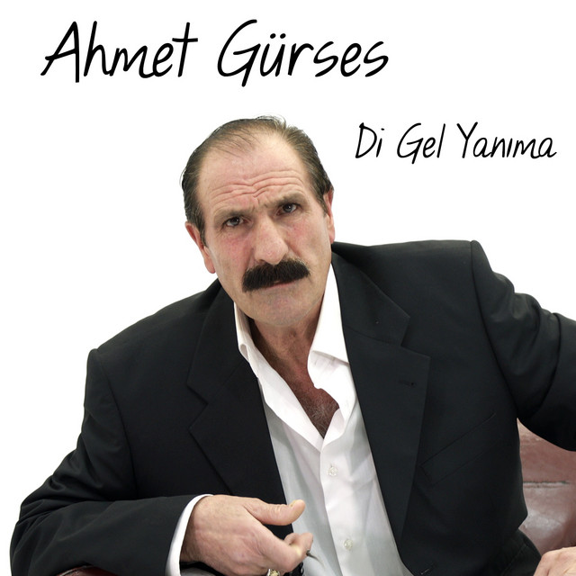 Ahmet Gürses Photo