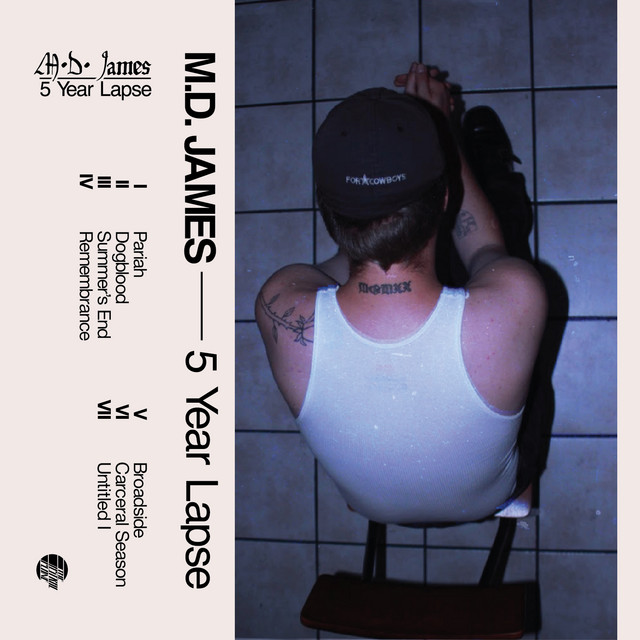 5 Year Lapse cover art