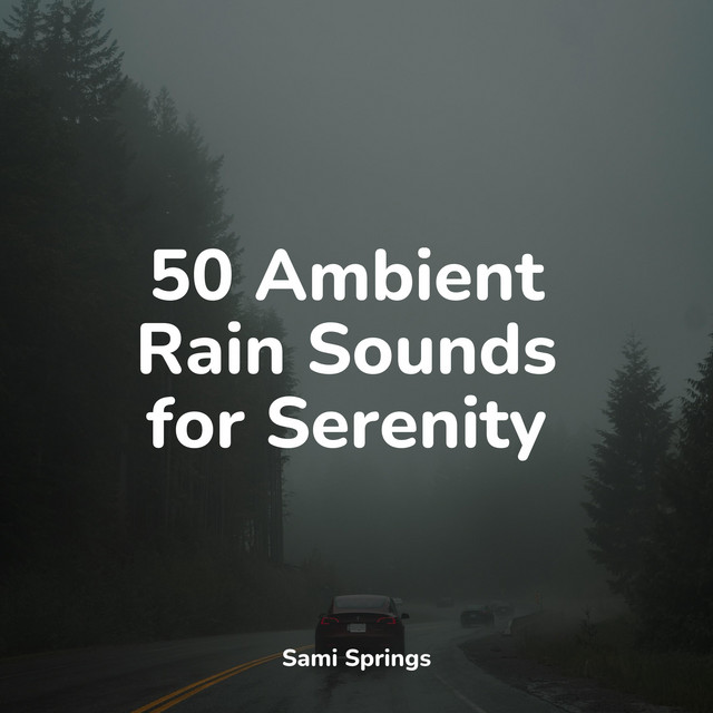 50 Ambient Rain Sounds for Serenity - Album by Ocean Sounds | Spotify