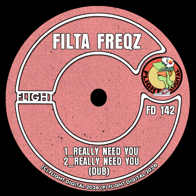 Really Need You album art