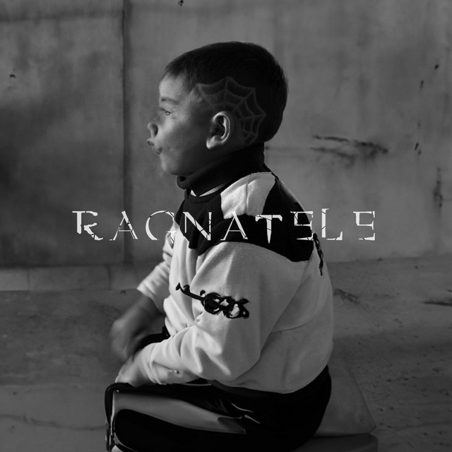 Ragnatele