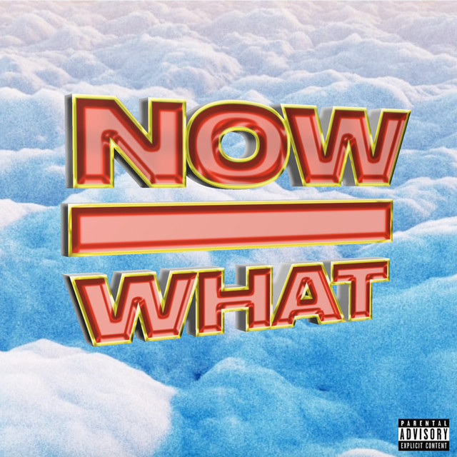 Now What cover art
