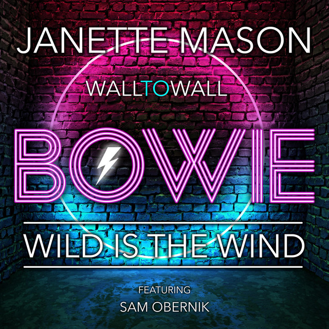 Wild Is The Wind cover