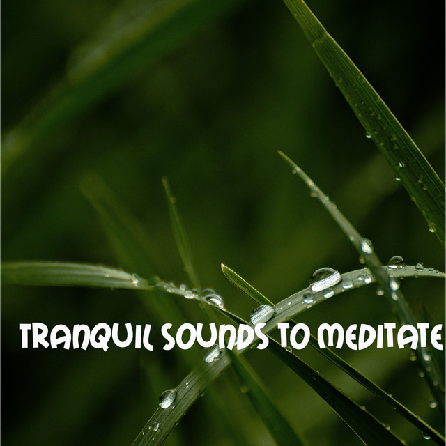 18 Amazing Yoga, Sleep, Meditation Rain Sounds