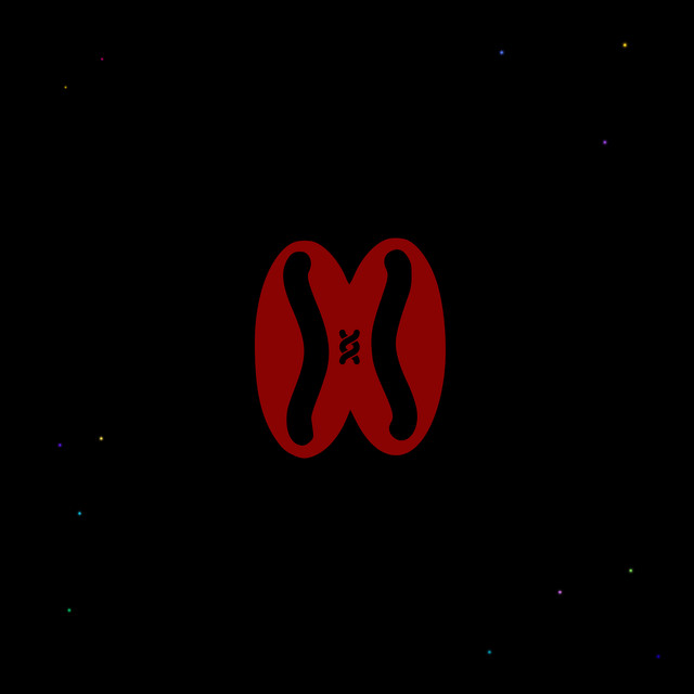 NUCLEIC ACID cover