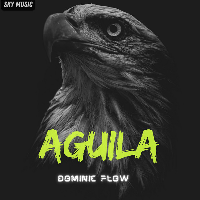 Dominic Flow