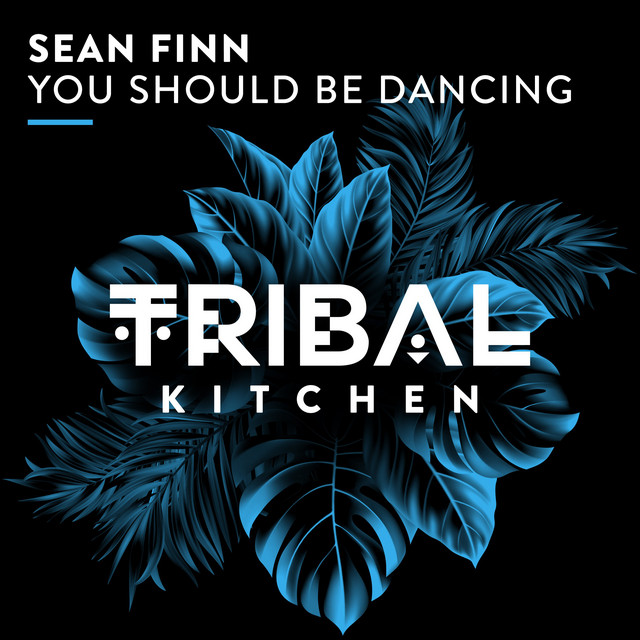You Should Be Dancing - Extended Mix album art