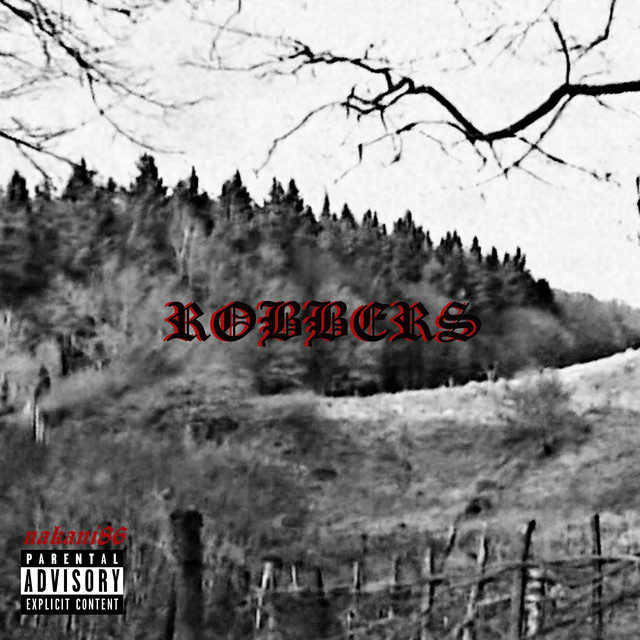 Robbers cover art