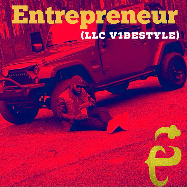Entrepreneur (LLC VibeStyle)