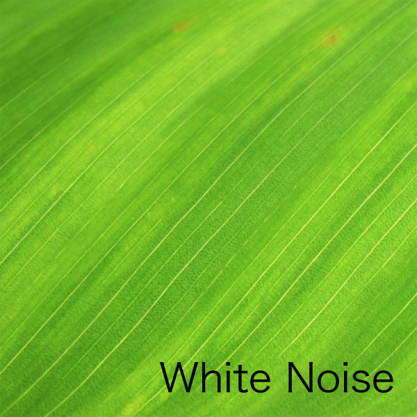 White Noise cover art