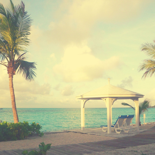 Feelings for Vacations cover art