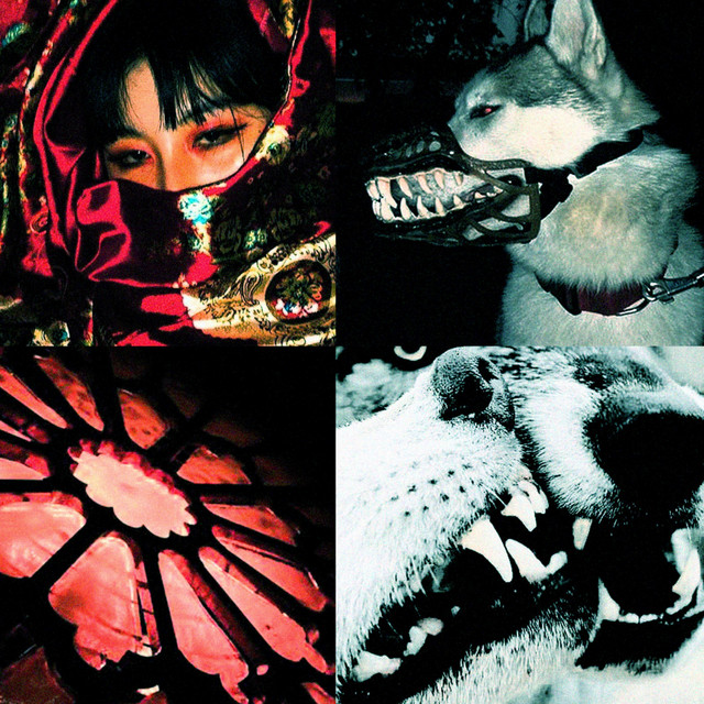 Evol cover art