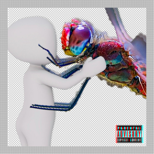 Suzi cover art