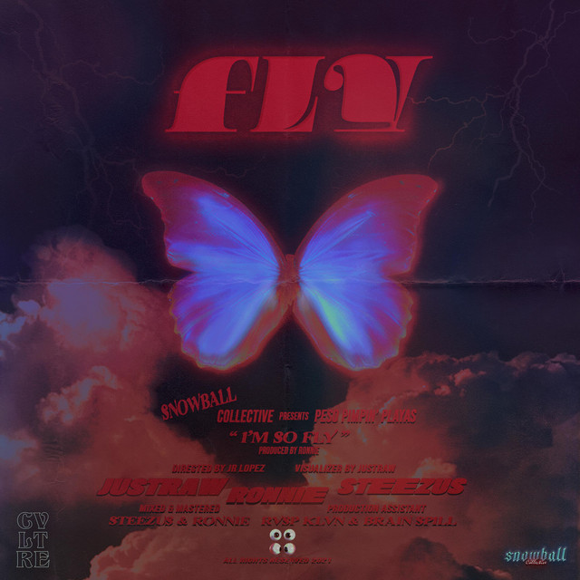 FLY cover art