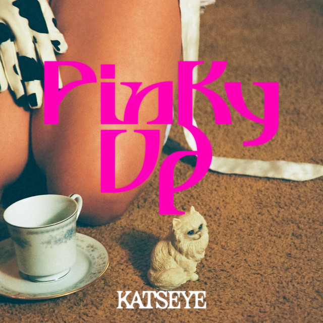 PINKY UP cover art