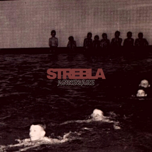 Annegare cover art