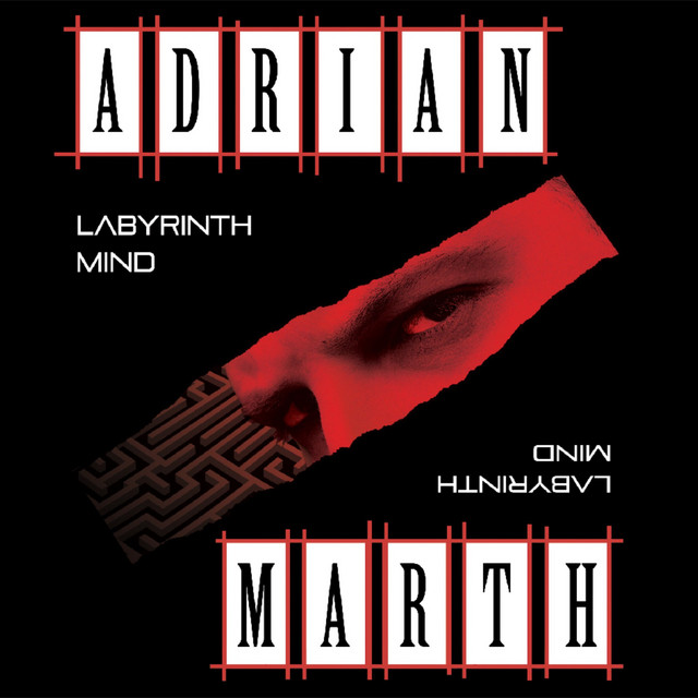 Labyrinth Mind cover art