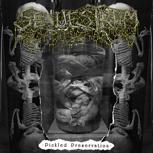 Pickled Preservation cover art