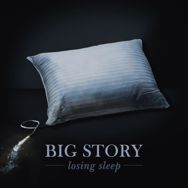 Losing Sleep cover