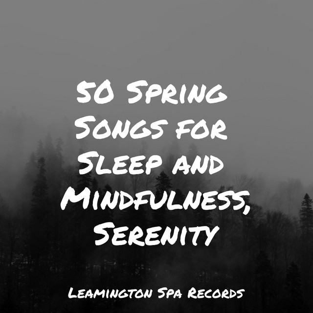 50 Spring Songs for Sleep and Mindfulness, Serenity - Album by Brown ...