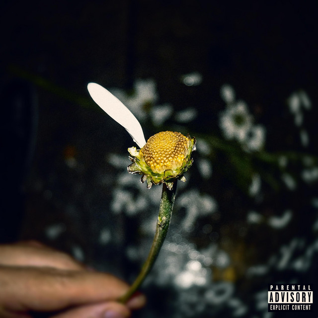 Pseudo cover art