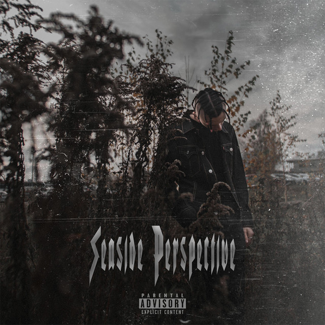 Seaside Perspective cover art