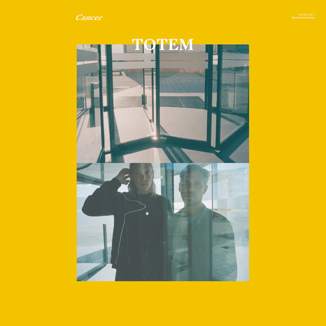 Totem cover art