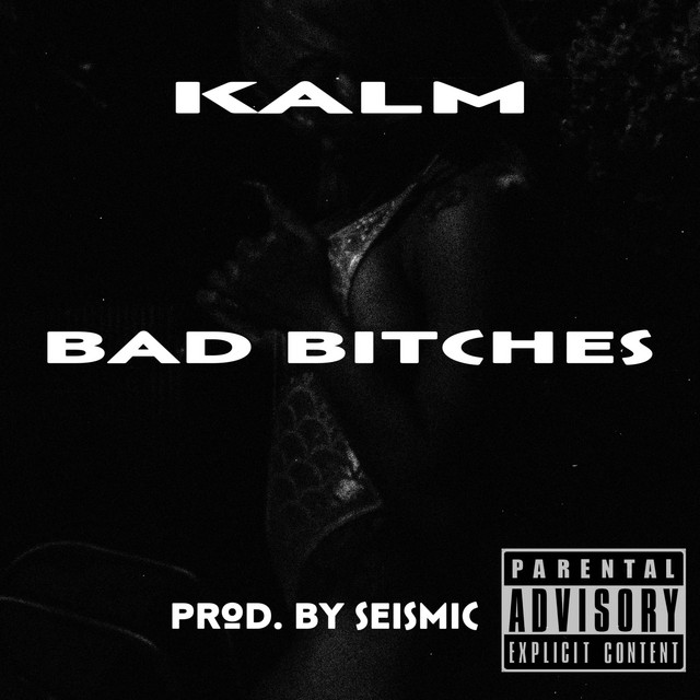 Bad Bitches cover