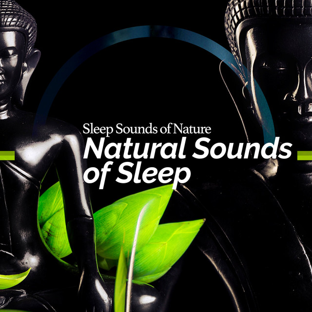 Natural Sounds of Sleep - Album by Sleep Sounds of Nature | Spotify