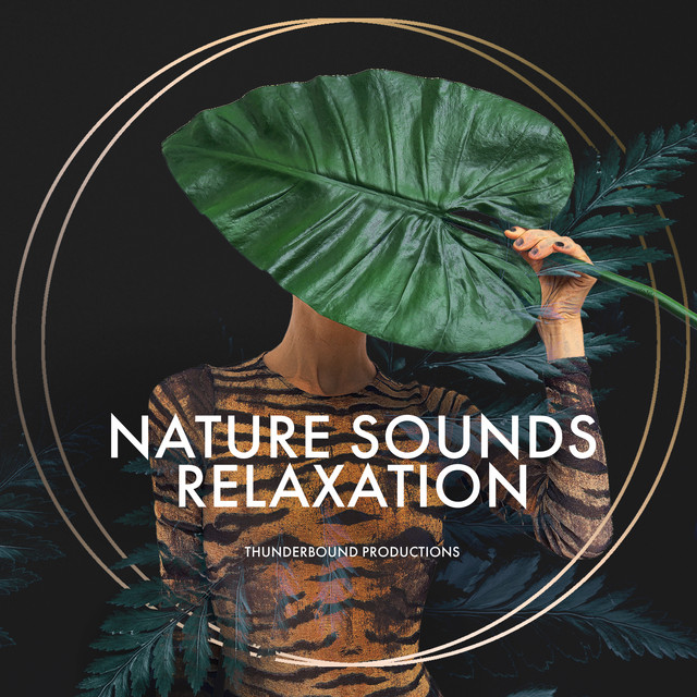 Nature Sounds Relaxation cover art