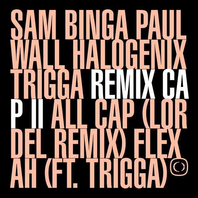 Flexah feat. Trigga album art