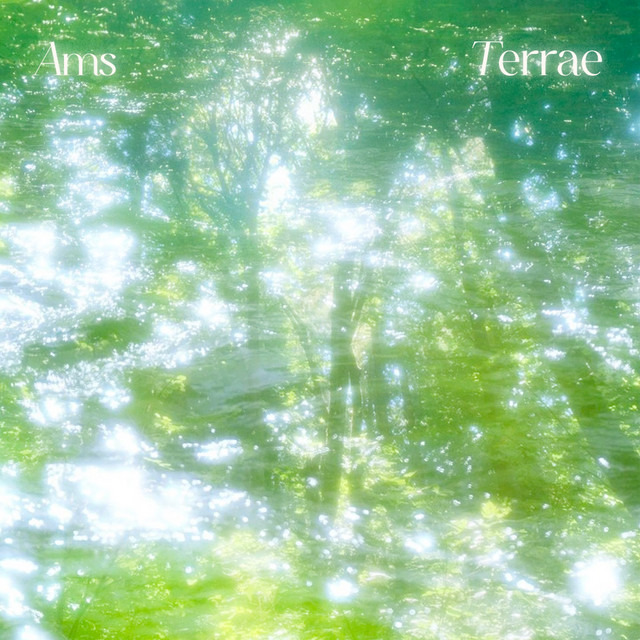 Terrae