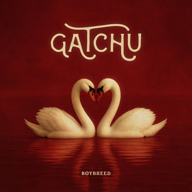 GATCHU cover