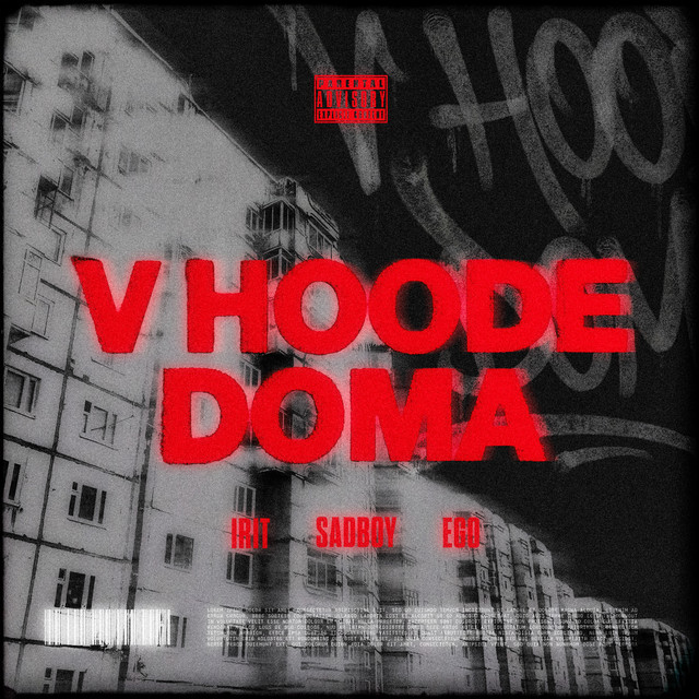 V HOODE DOMA album image