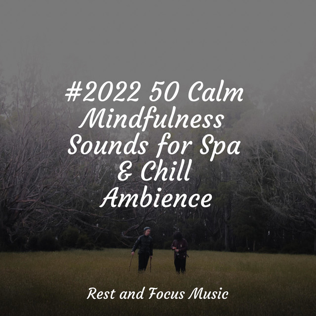 #2022 50 Calm Mindfulness Sounds for Spa & Chill Ambience - Album by ...
