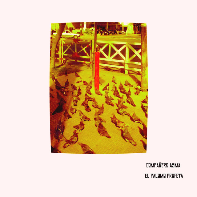 El Palomo Profeta cover art