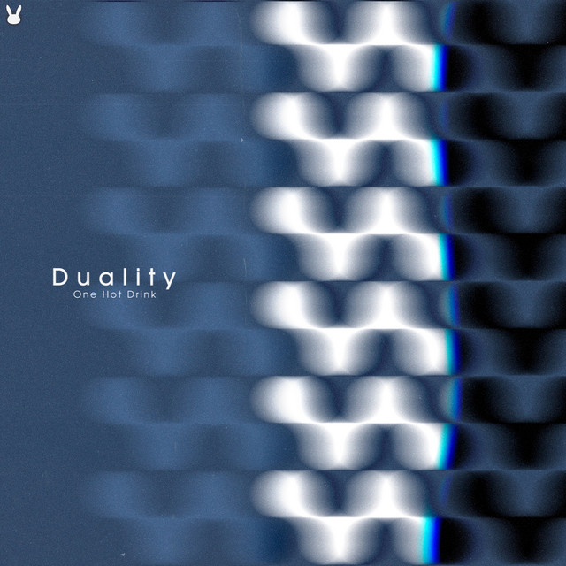 Duality