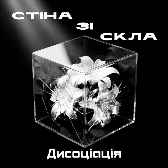 Обкладинка Дисоціація — Стіна зі скла