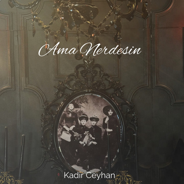 Ama Nerdesin cover art