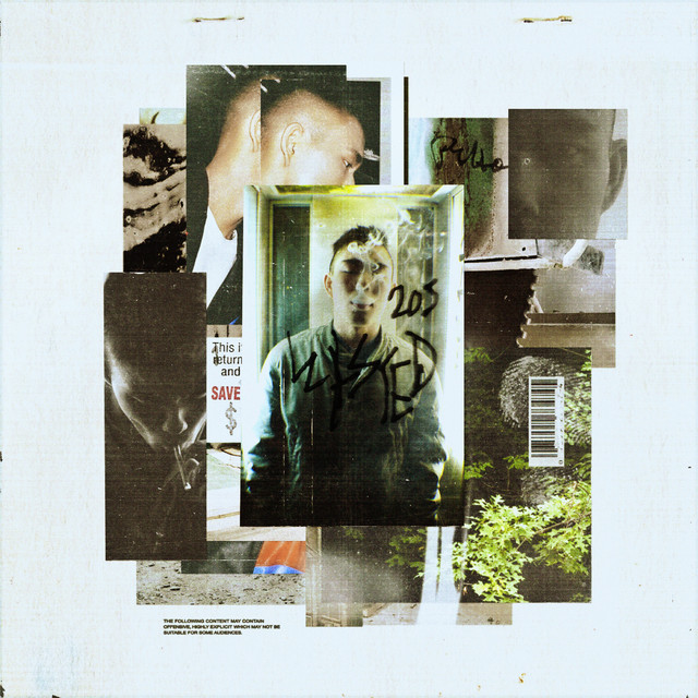 Wasted 20s cover art