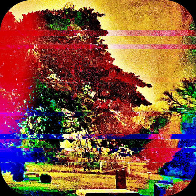 The Skinwalker cover art