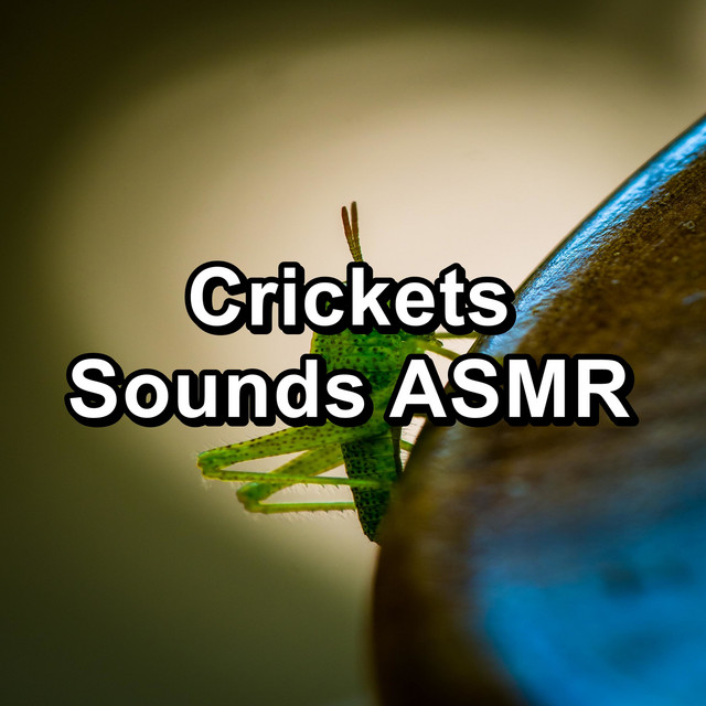 Crickets Sounds ASMR cover art