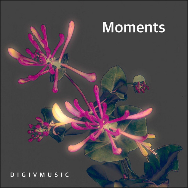 Moments